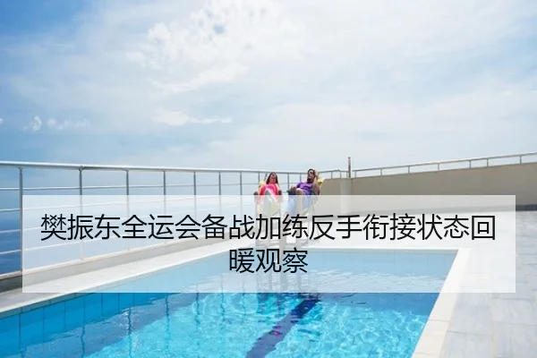 樊振东全运会备战加练反手衔接状态回暖观察